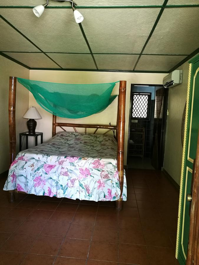 Ravenala Beach Bungalows Moalboal Exterior photo
